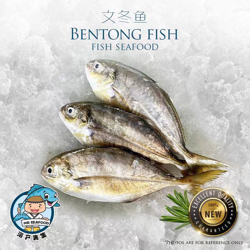 Bentong Fish 文冬鱼 Mr Seafood Sdn Bhd